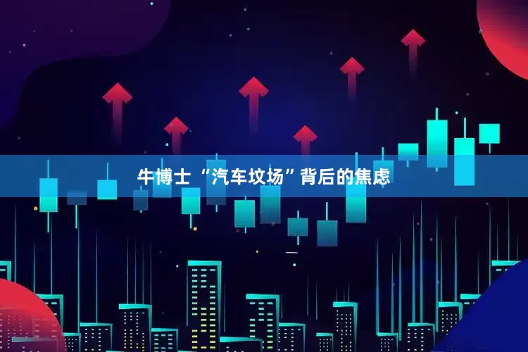牛博士 “汽车坟场”背后的焦虑