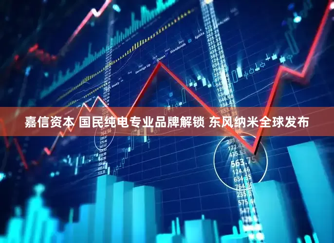 嘉信资本 国民纯电专业品牌解锁 东风纳米全球发布