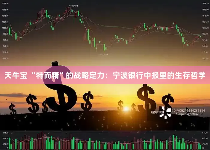 天牛宝 “特而精”的战略定力：宁波银行中报里的生存哲学